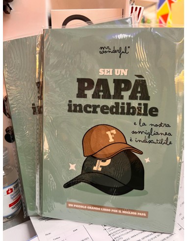 MR WONDERFUL SEI UN PAPA' INCREDIBILE LIBRO 